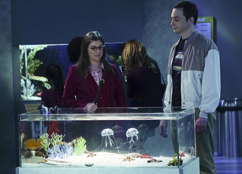 The Big Bang Theory Bombshell – Amy And Sheldon Finally Have Sex, Love Scene Five Years In The Making