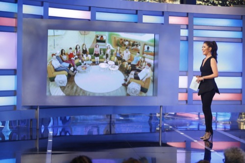 Big Brother Recap 8/5/18: Season 20 Episode 18 “Nominations”