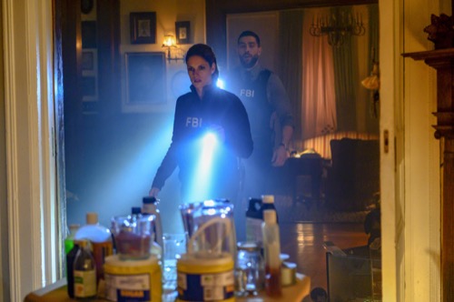 FBI Recap 02/26/19: Season 1 Episode 15 “Scorched Earth”