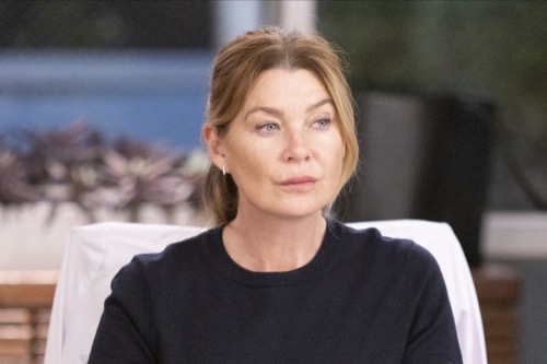 Grey’s Anatomy Recap 10/13/22: Season 19 Episode 2 “Wasn’t Expecting That”