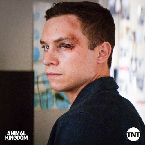 Animal Kingdom Recap 08/29/21: Season 5 Episode 8 “Gladiators”