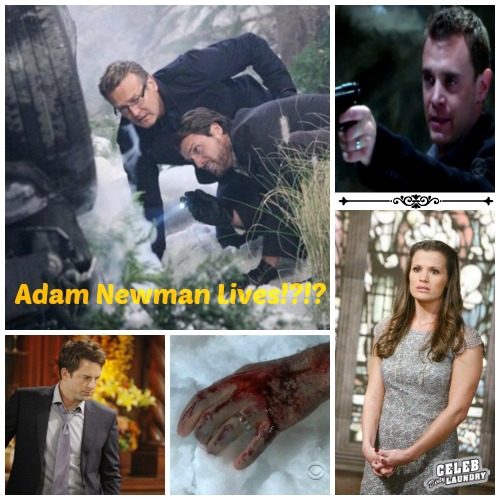 The Young and the Restless Spoilers: Adam Newman On His Way Home or Is Chelsea Losing Her Mind – Who Replaces Michael Muhney?