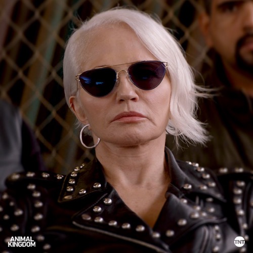 Animal Kingdom Recap 06/11/19: Season 4 Episode 3 “Man Vs. Rock”