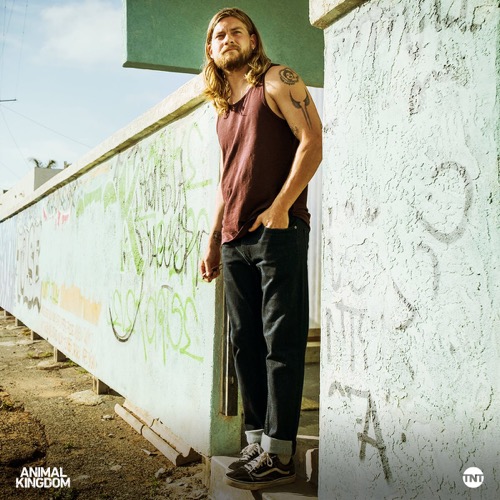 Animal Kingdom Recap 8/1/17: Season 2 Episode 9 “Custody”