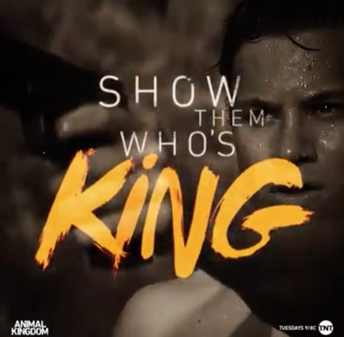 Animal Kingdom Recap 6/21/16: Season 1 Episode 3 “Stay Close, Stick Together”