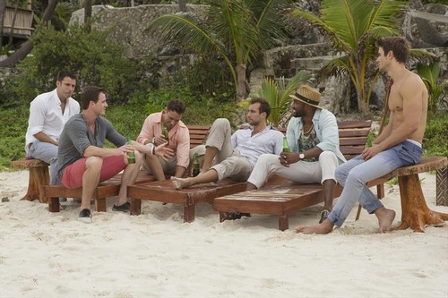 Bachelor In Paradise Spoilers: Five Andi Dorfman Guys Look For Love – Guide to Understanding The Show