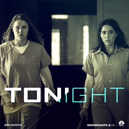 Blindspot Recap 5/3/17: Season 2 Episode 20 “In Words, Drown I”