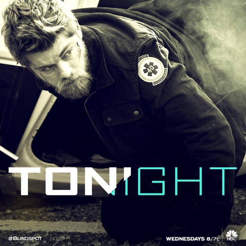 Blindspot Finale Recap -Shepherd Played Her Last Card: Season 2 Episode 22 “Lepers Repel”