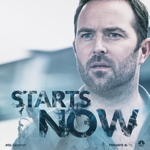 Blindspot Recap 11/16/18: Season 4 Episode 6 “Ca-Ca-Candidate for Cri-Cri-Crime”