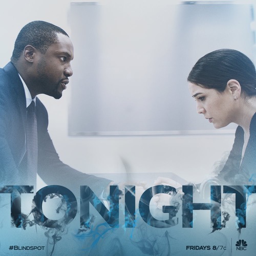 Blindspot Recap 01/18/19: Season 4 Episode 10 “The Big Reveal”