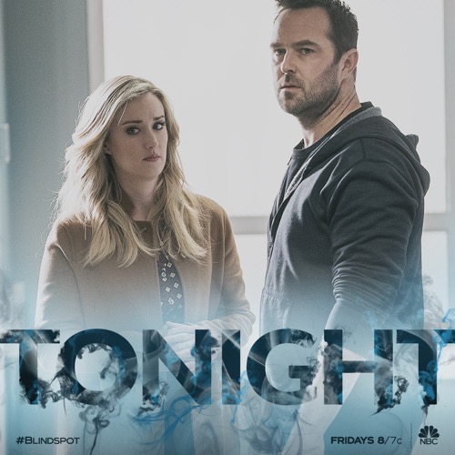 Blindspot Recap 02/08/19: Season 4 Episode 12 “The Tale of the Book of Secrets”