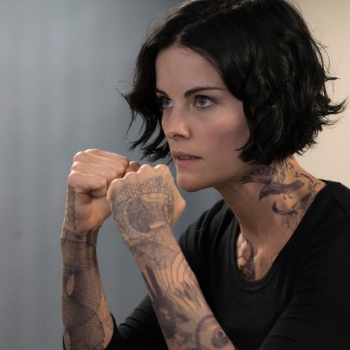Blindspot Recap 9/28/15 Season 1 Episode 2 “A Stray Howl”