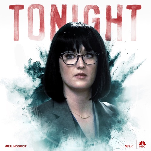 Blindspot Recap 05/14/20: Season 5 Episode 2 “We Didn’t Start The Fire”