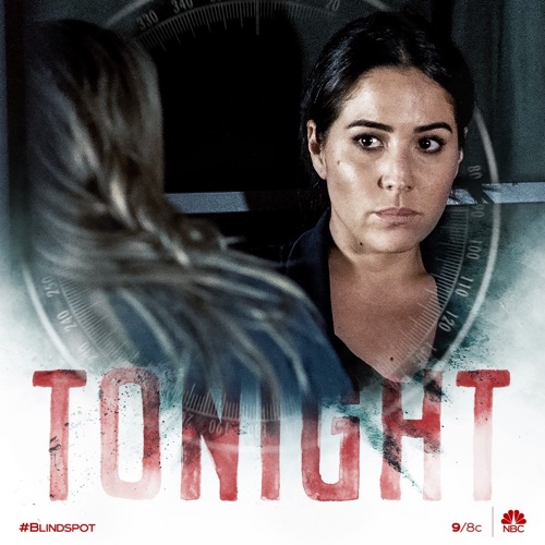 Blindspot Recap 06/18/20: Season 5 Episode 6 “Fire & Brimstone”