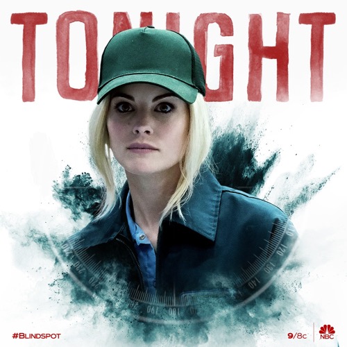 Blindspot Recap 06/25/20: Season 5 Episode 7 “AWL In”