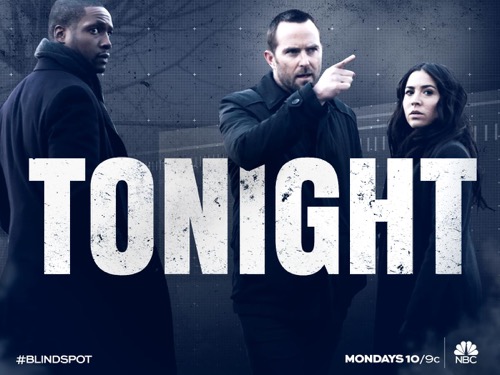 Blindspot Recap 3/21/16 Season 1 Episode 14 “Rules in Defiance”