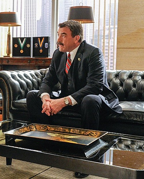 Blue Bloods RECAP 3/8/13: Season 3 Episode 17 “Protest Too Much”