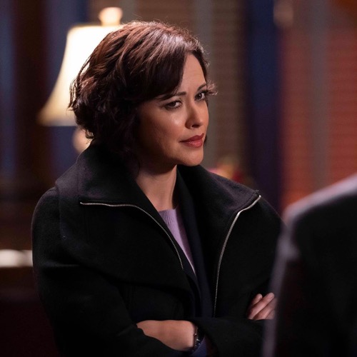 Blue Bloods Fall Finale Recap 12/06/19: Season 10 Episode 10 “Bones To Pick”