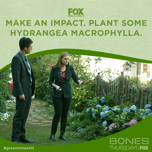 Bones Recap – Mortality Lesson: Season 10 Episode 12 “The Teacher in the Books”