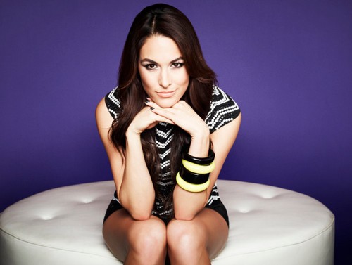 Stephanie McMahon Will Make Brie Bella a Star at WWE SummerSlam