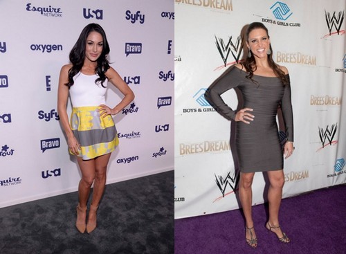 Brie Bella vs Stephanie McMahon SummerSlam 2014 – Two Potential Swerves!