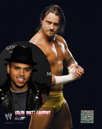 Chris Brown Attacks WWE Star Via Twitter — ‘Utterly Impossible For Him To Pleasure A Woman’