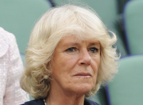 Camilla Parker-Bowles Family Fears She Hasn’t ‘Properly Processed Grief’ Of Brother’s Sudden Death