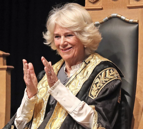 Camilla Parker-Bowles Unusual, Yet Crucial Royal Duty To Future King Charles