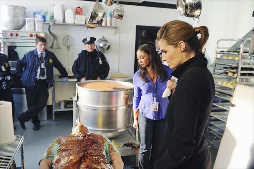 Castle RECAP 3/25/13: Season 5 Episode 18 “The Wild Rover”