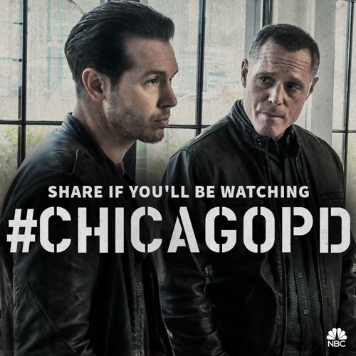 Chicago PD Recap 11/11/15: Season 3 Episode 8 “Forget My Name”