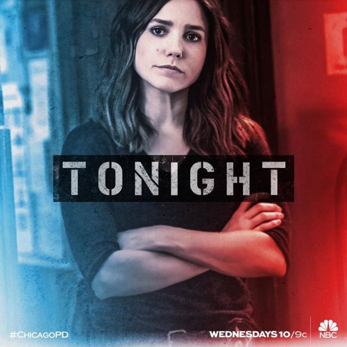 Chicago PD Finale Recap: Season 4 Episode 23 “Fork in the Road”