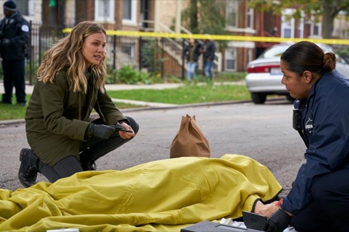 Chicago PD Winter Premiere Recap 1/3/18: Season 5 Episode 10 “Rabbit Hole”