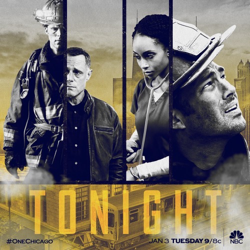 Chicago PD Winter Premiere Recap 1/3/17: Season 4 Episode 9 “Don’t Bury This Case”