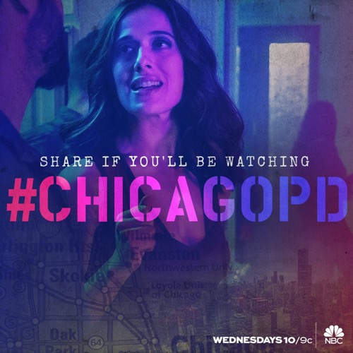 Chicago PD Recap 1/13/16: Season 3 Episode 11 “Knocked the Family Right Out”