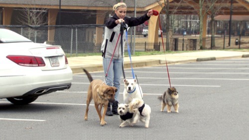 Chrisley Knows Best Recap 6/16/15: Season 3 Episode 5 & 6 “Dollars and Sense; Chrisleys on Campus”