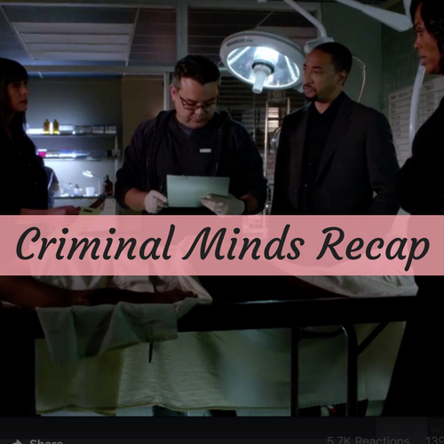 Criminal Minds Recap 3/15/17: Season 12 Episode 16 “Assistance Is Futile”