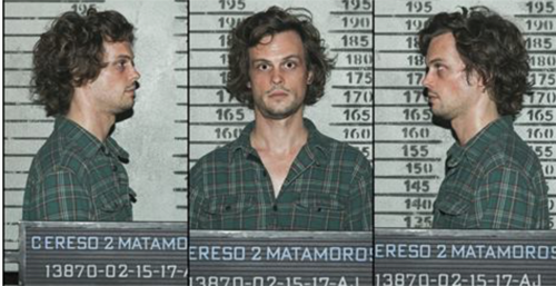Criminal Minds Recap 3/1/17: Season 12 Episode 15 “Alpha Male”