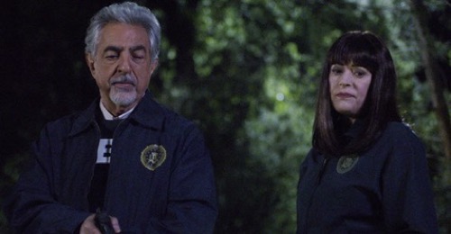 Criminal Minds Recap 02/12/20: Season 15 Episode 8 “Family Tree”