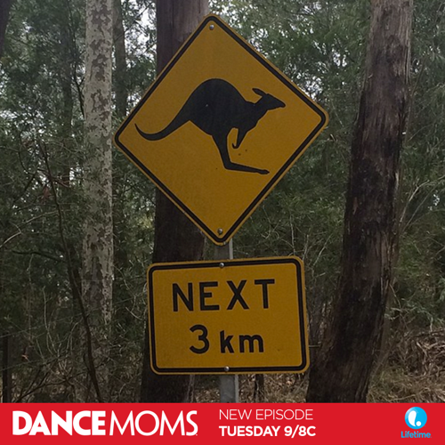 Dance Moms Recap – Maddie Makes a Mess: Season 5 Episode 20 “Dance Moms Down Under, Part 1”
