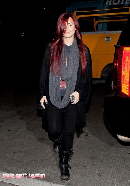Rehabilitated Demi Lovato Now Says ‘Sober Is Sexy’