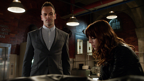 Elementary Recap – Kitty’s Attacker Returns: Season 3 Episode 11 “The Illustrious Client”