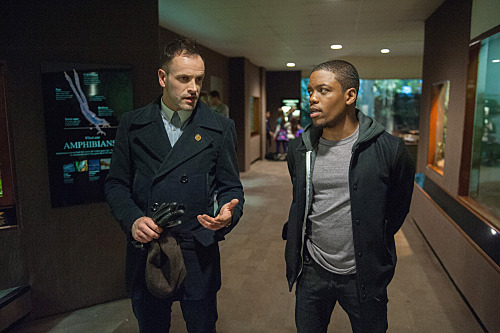 Elementary Recap – Missing Zebras and Joan’s Revelation: Season 3 Episode 14 “The Female of the Species”