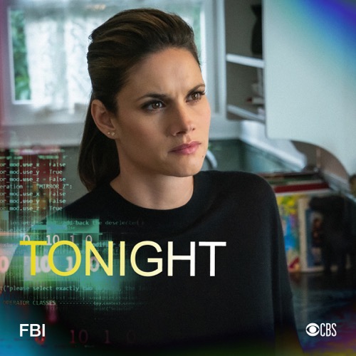 FBI Recap 11/19/19: Season 2 Episode 9 “Codename: Ferdinand”