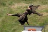 First Pics Of Angelina Jolie On The Set Of Maleficent (Photos) 0626