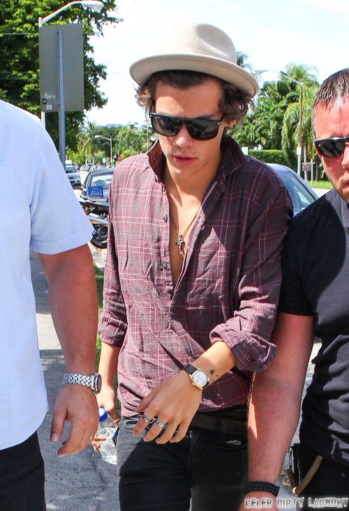 Harry Styles And Zayn Malik Have Oral Sex Together (Video)