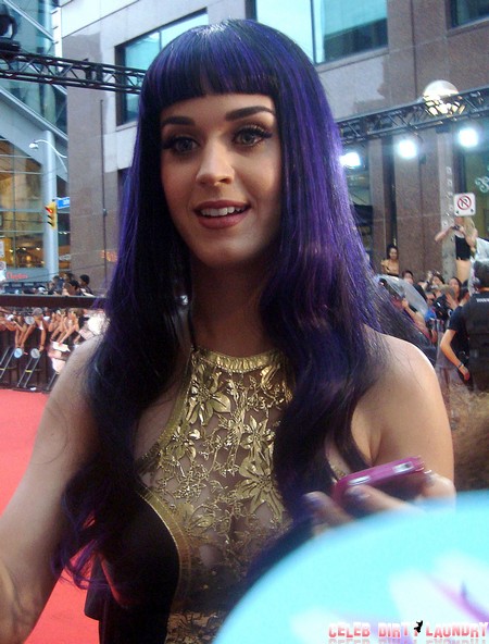Katy Perry Seeks Another Justin Bieber