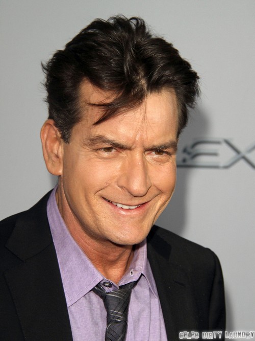 Charlie Sheen Wants Denise Richards To Marry Him Again