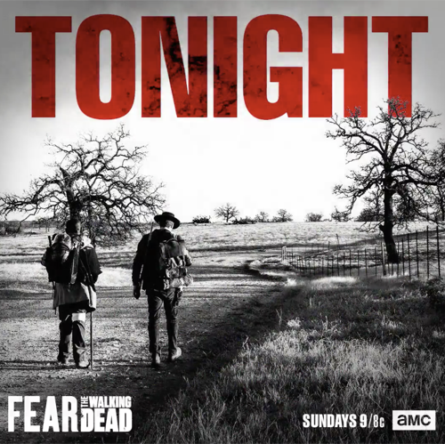 Fear The Walking Dead Recap 5/13/18: Season 4 Episode 5 “Laura”