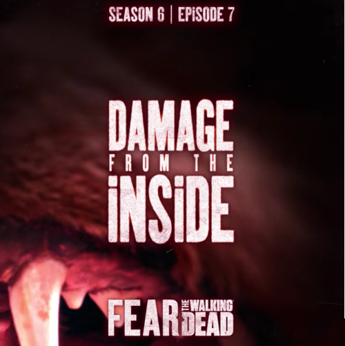 Fear The Walking Dead Fall Finale Recap 11/22/20: Season 6 Episode 7 “Damage From The Inside”