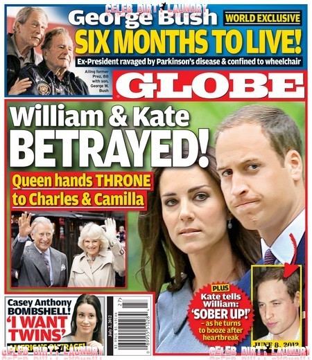 GLOBE: Kate Middleton Tells Prince William To Sober Up After Heartbreak (Photo)
